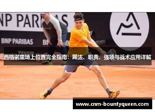 西格诺里场上位置完全指南：踢法、职责、强项与战术应用详解